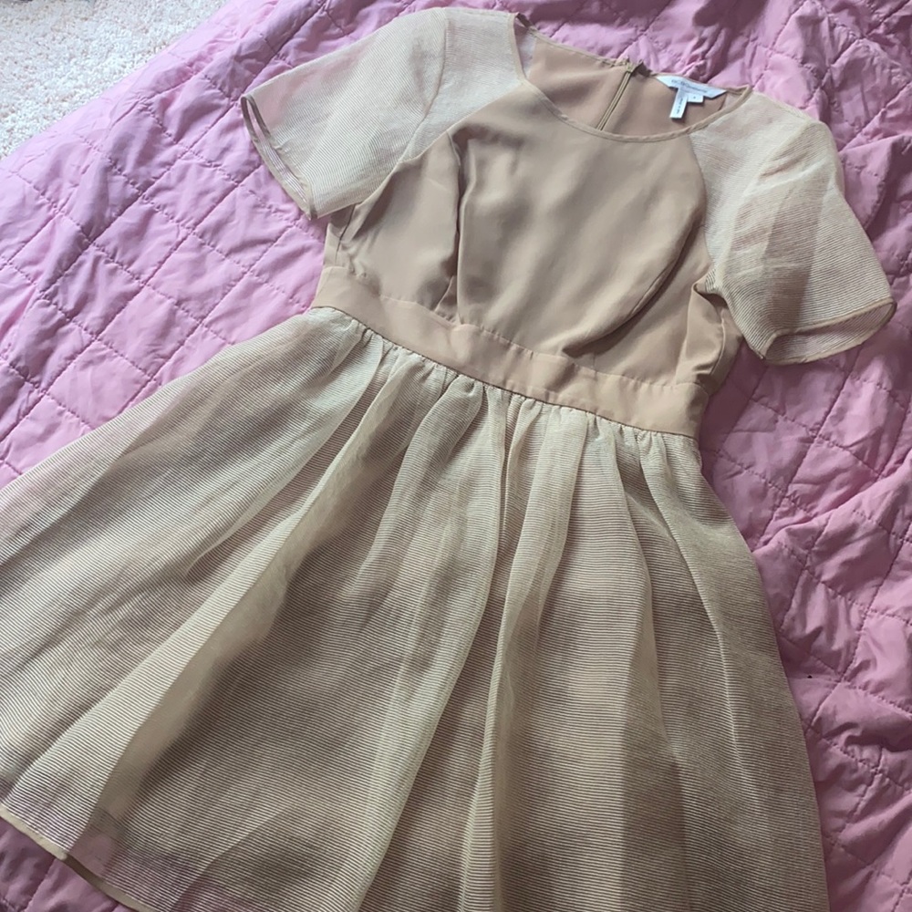 💸3/$13 bundle 💸 New* BCBG mesh short sleeved fit flare mini dress